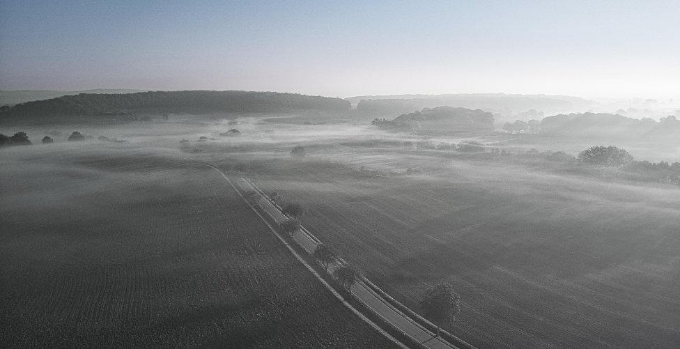 apfelbaum_allee_tone